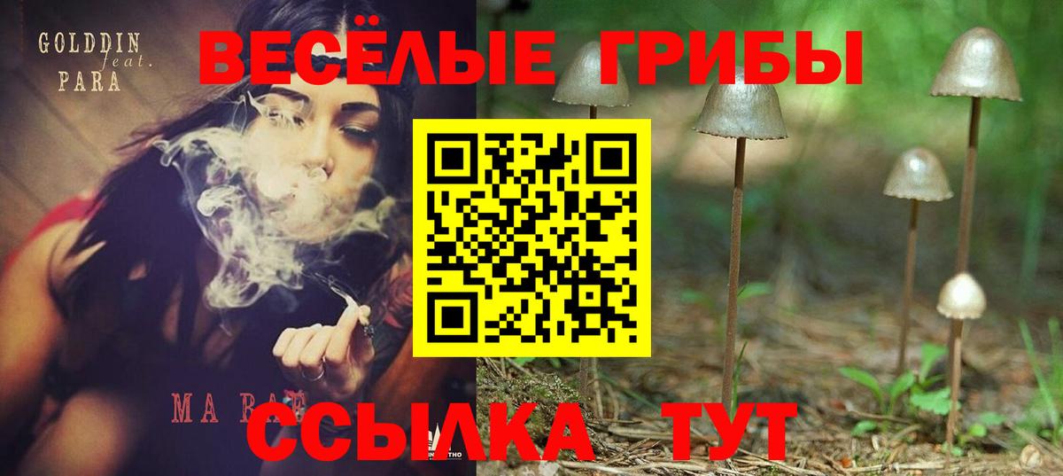 Галлюциногенные грибы мухоморы  Галлюциногенные грибы Psilocybe  Ейск  Вход с VPN 